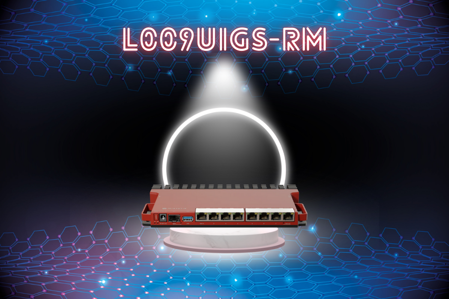 ¿Por qué el L009UiGS-RM es el router que necesitas?